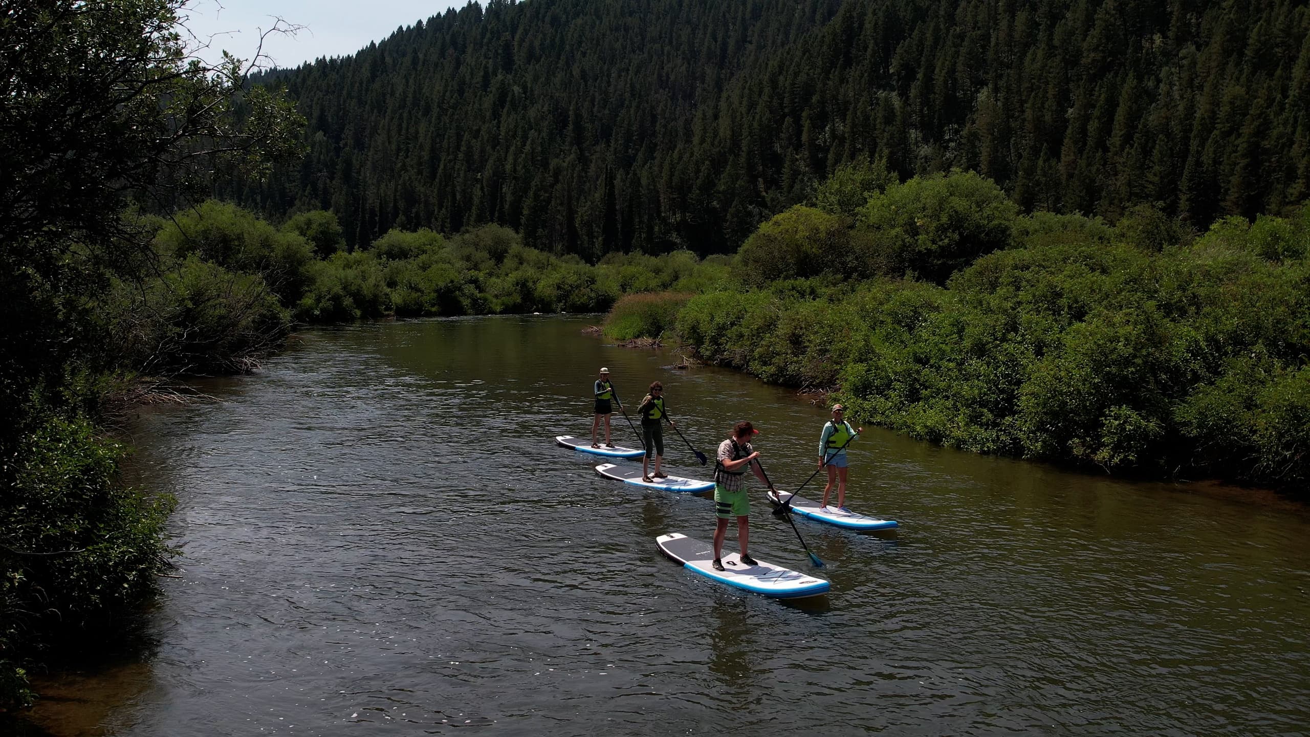 Salt River Riparian SUP Tour