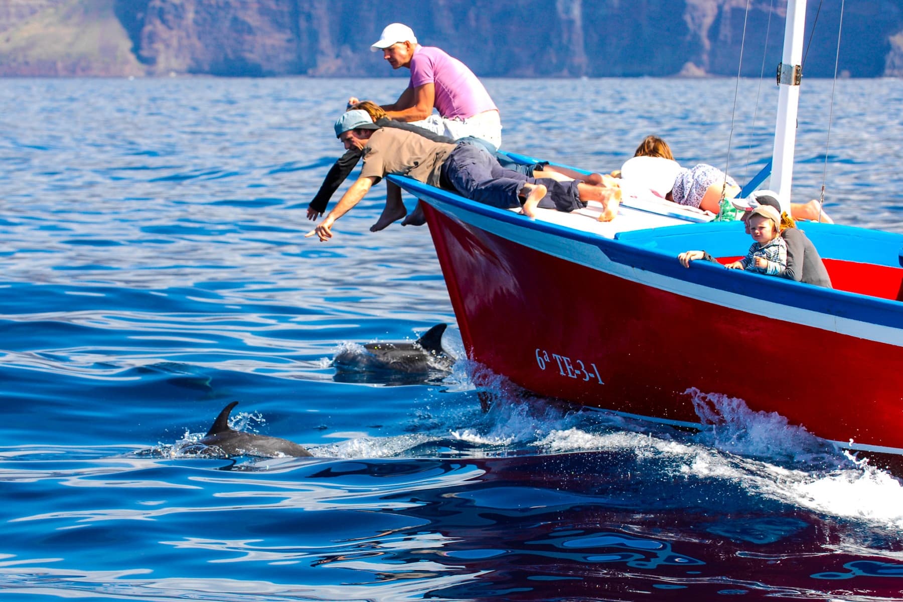 Whale Watching Tour La Gomera