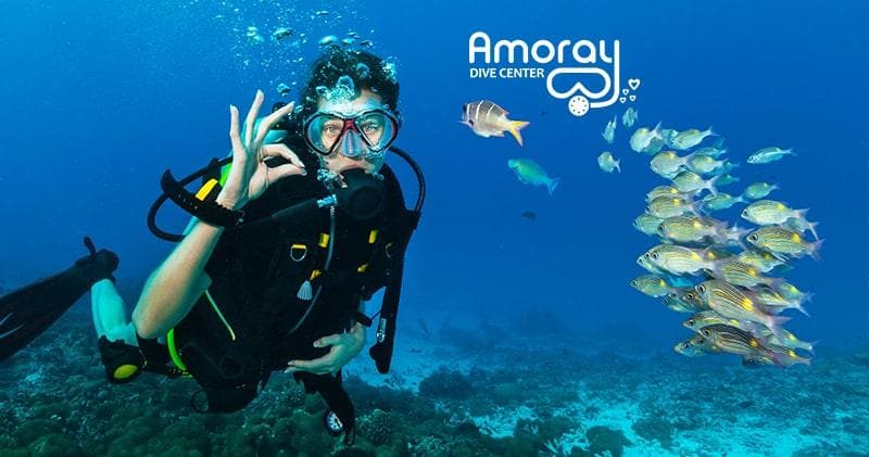 Two-Tank Scuba and Snorkel Trips