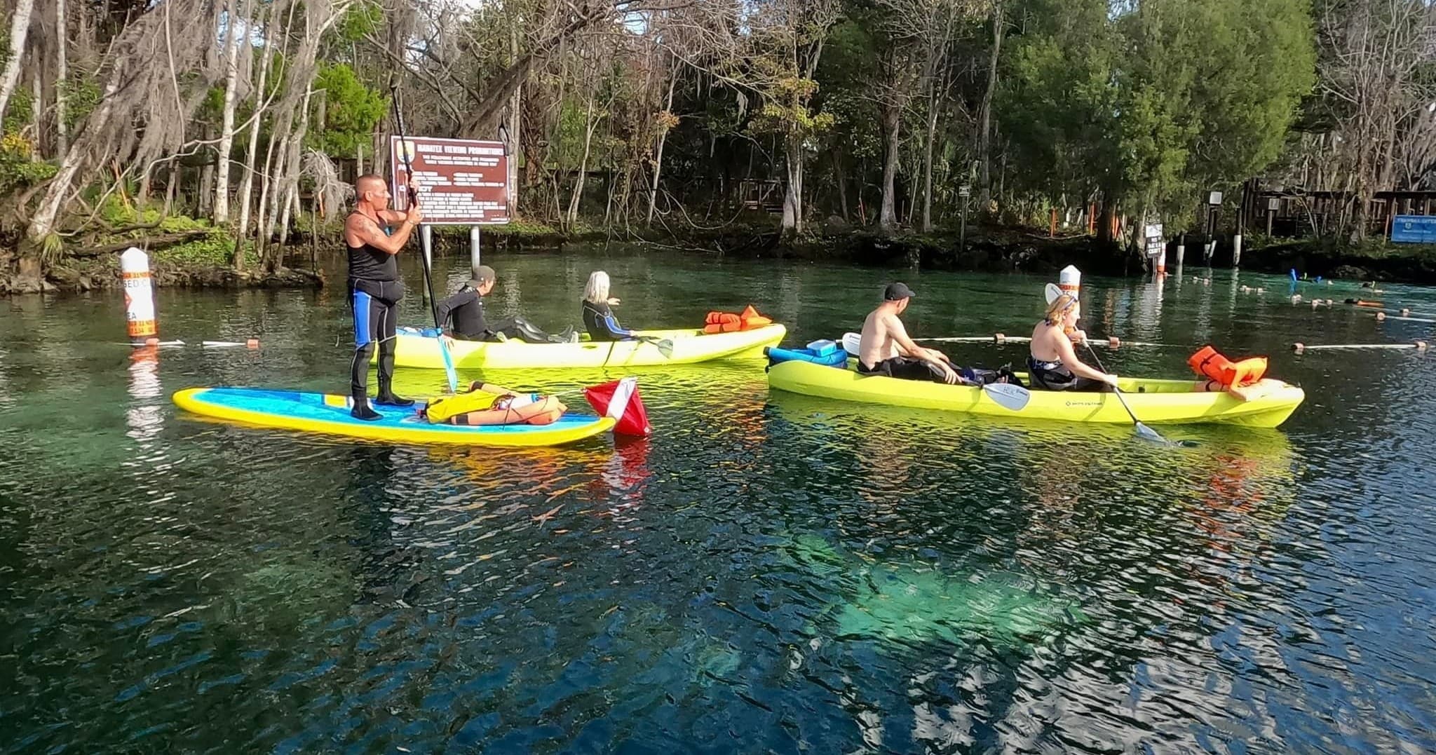 Guided Kayak Manatee Swim Tour - King's Bay