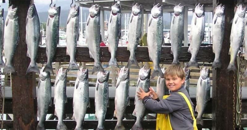 Full-Day Salmon Charter