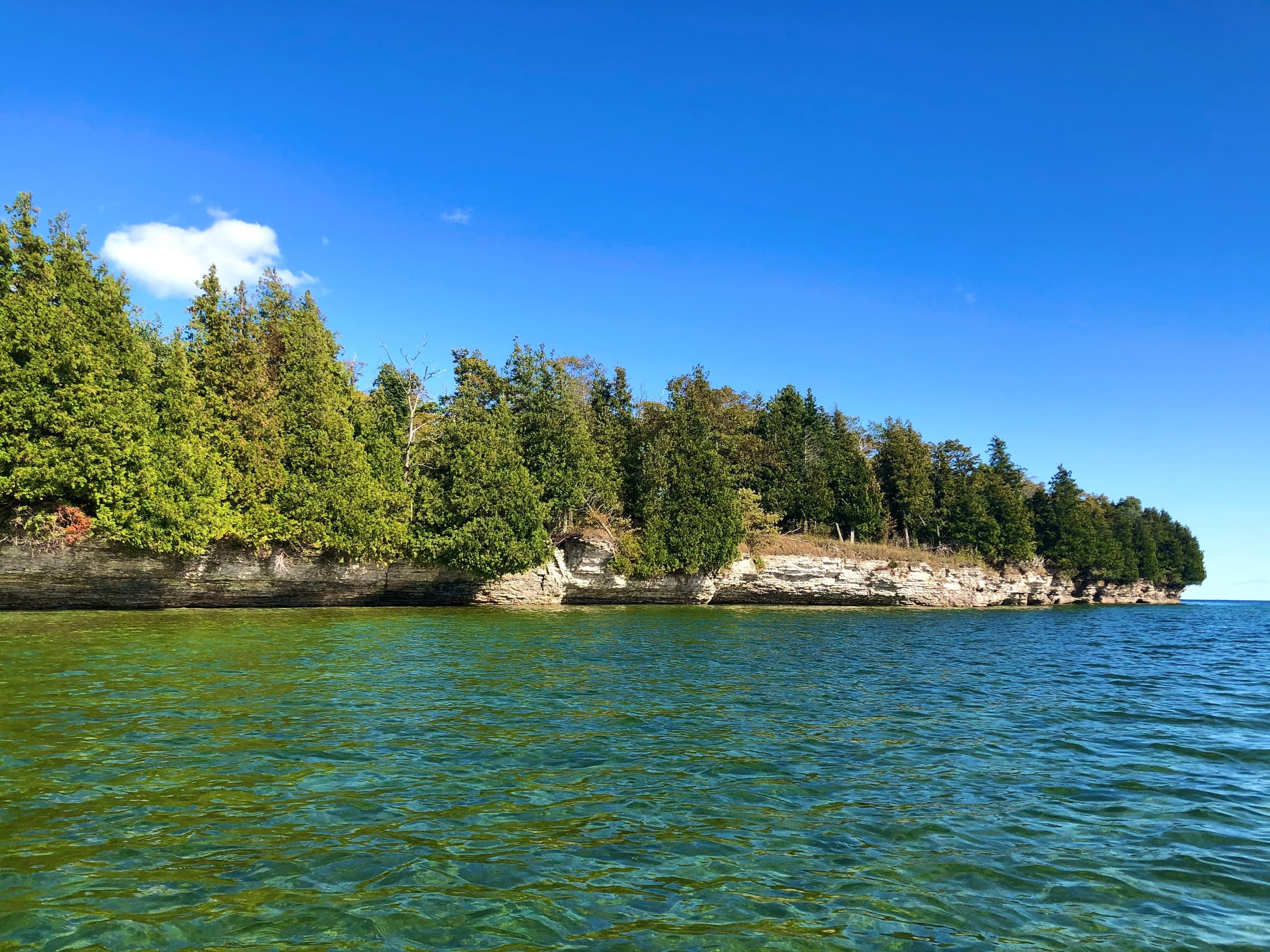 Newport State Park 1/2 Day Eco-Tour