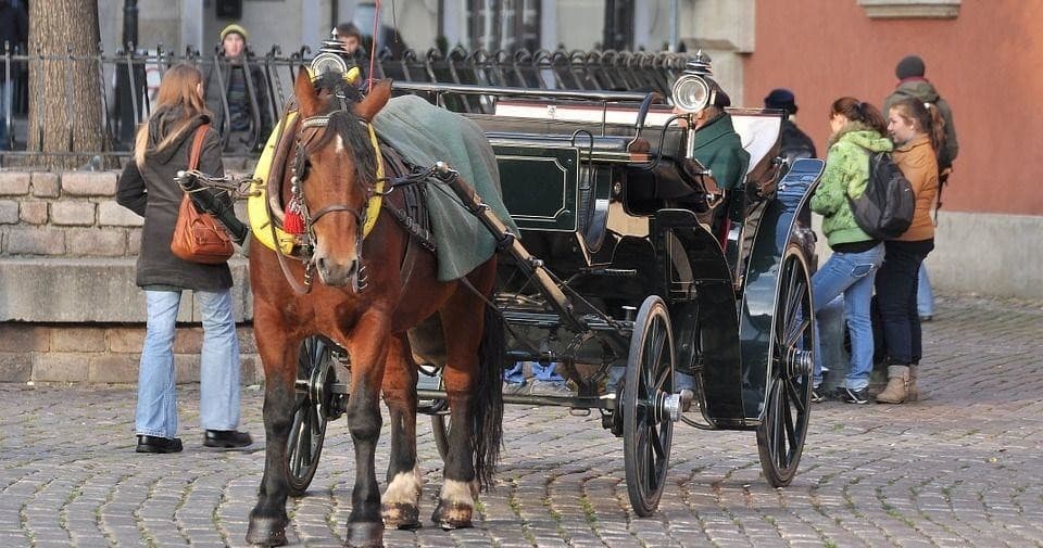 Horse Carriage Ride in Warsaw - Standard Option