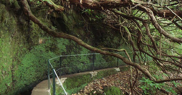 Caldeirão Verde