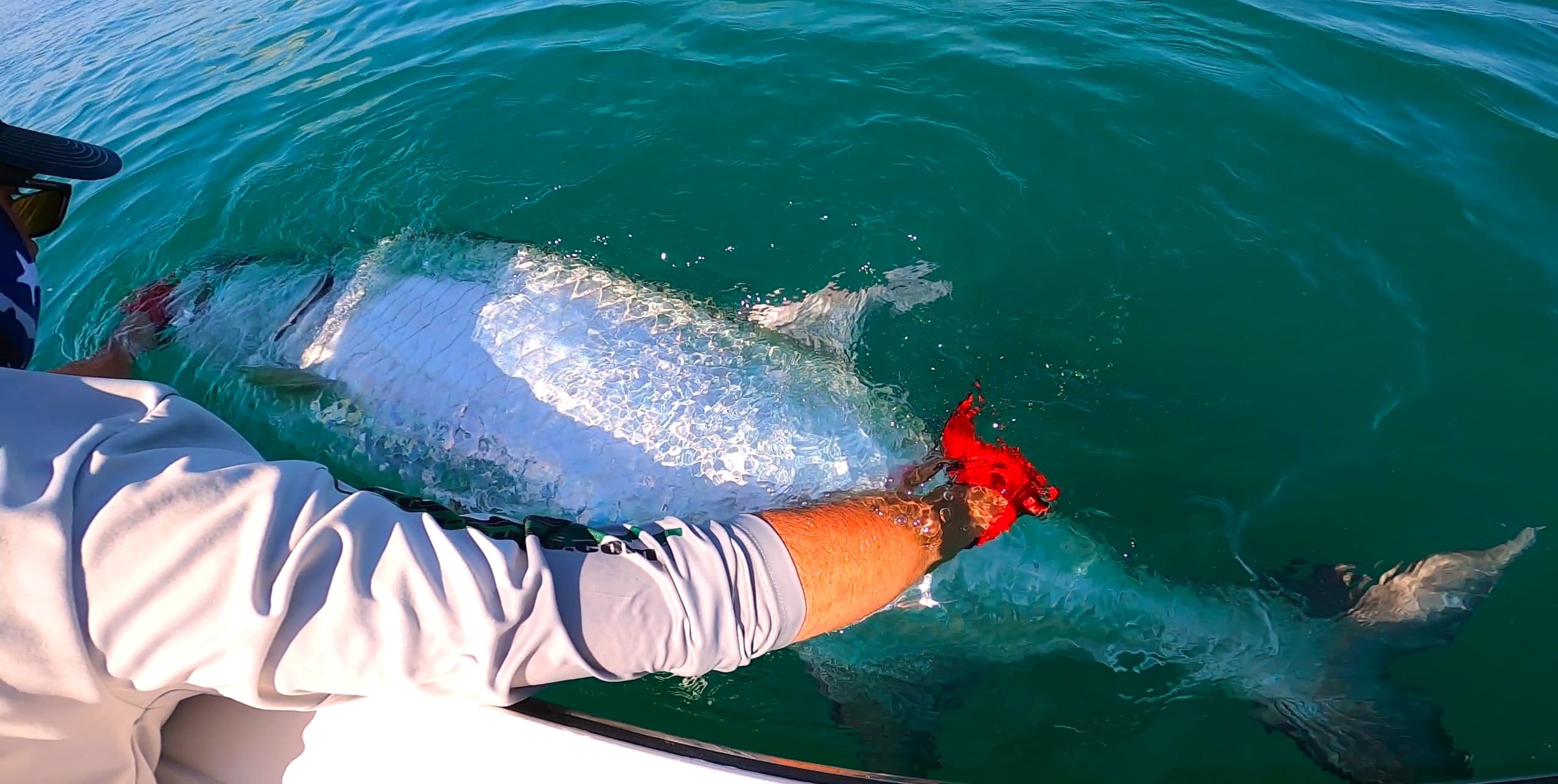 Backcountry Inshore and Nearshore Tarpon Fishing • The Silver King!