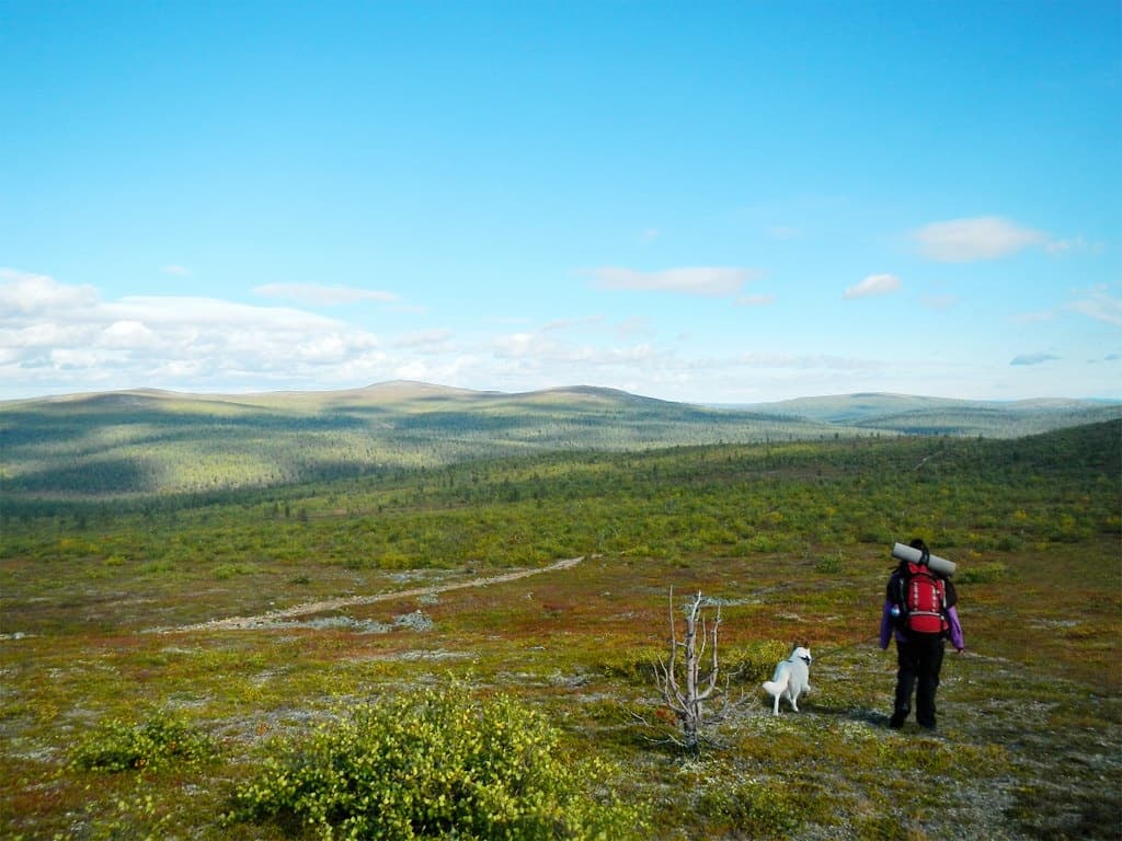 Husky Hiking Trip at Kiilopää on the Border of Urho Kekkonen National Park