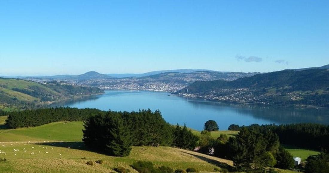 Otago Peninsula Scenery & City Highlights Tour