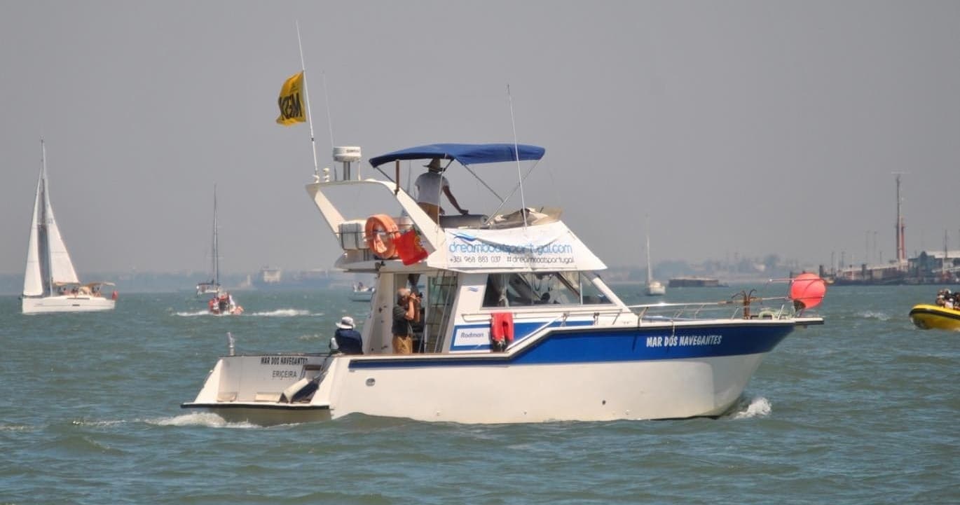 RODMAN 1100