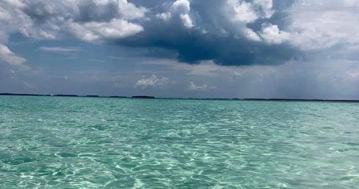 Dolphin Watching & Sandbar Tour