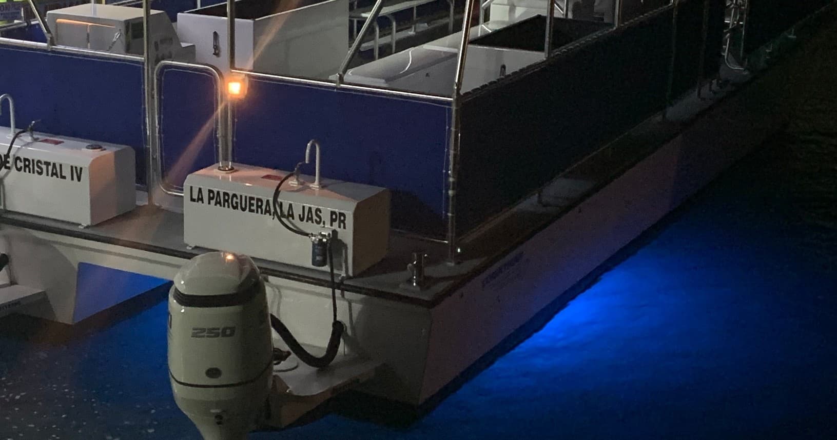 Bioluminescent Bay Glassbottom Boat Tours