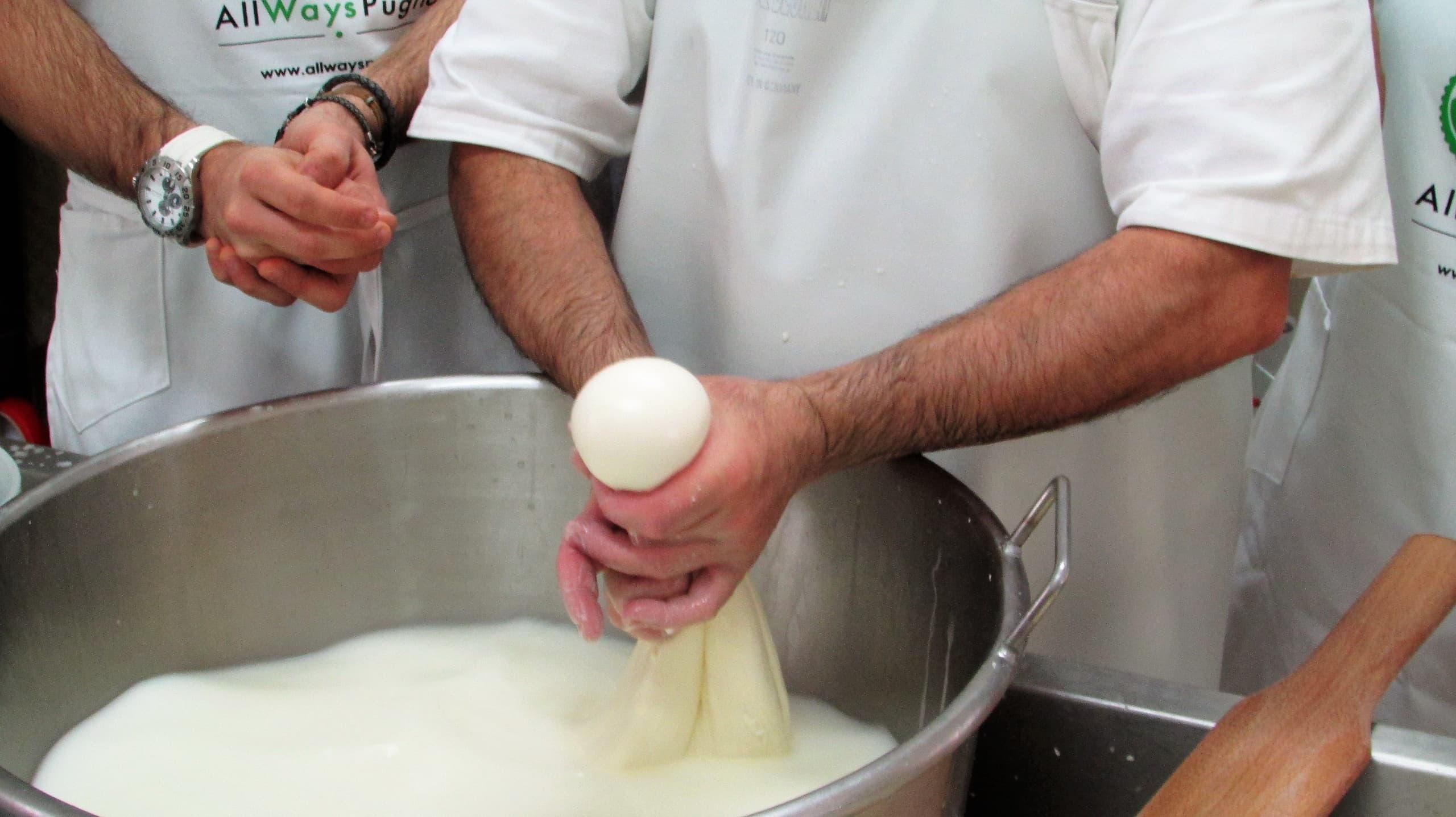 Mozzarella in Masseria