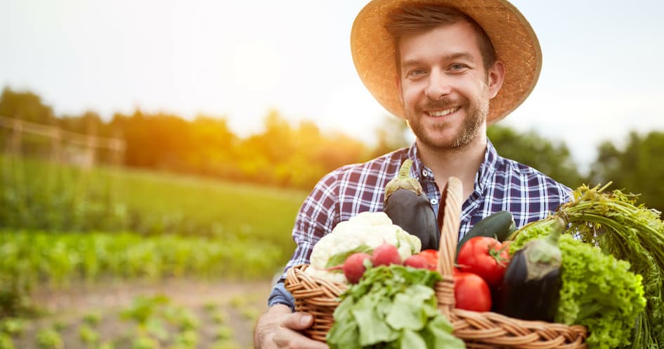 Organic Farm & Fruit Taste Experience