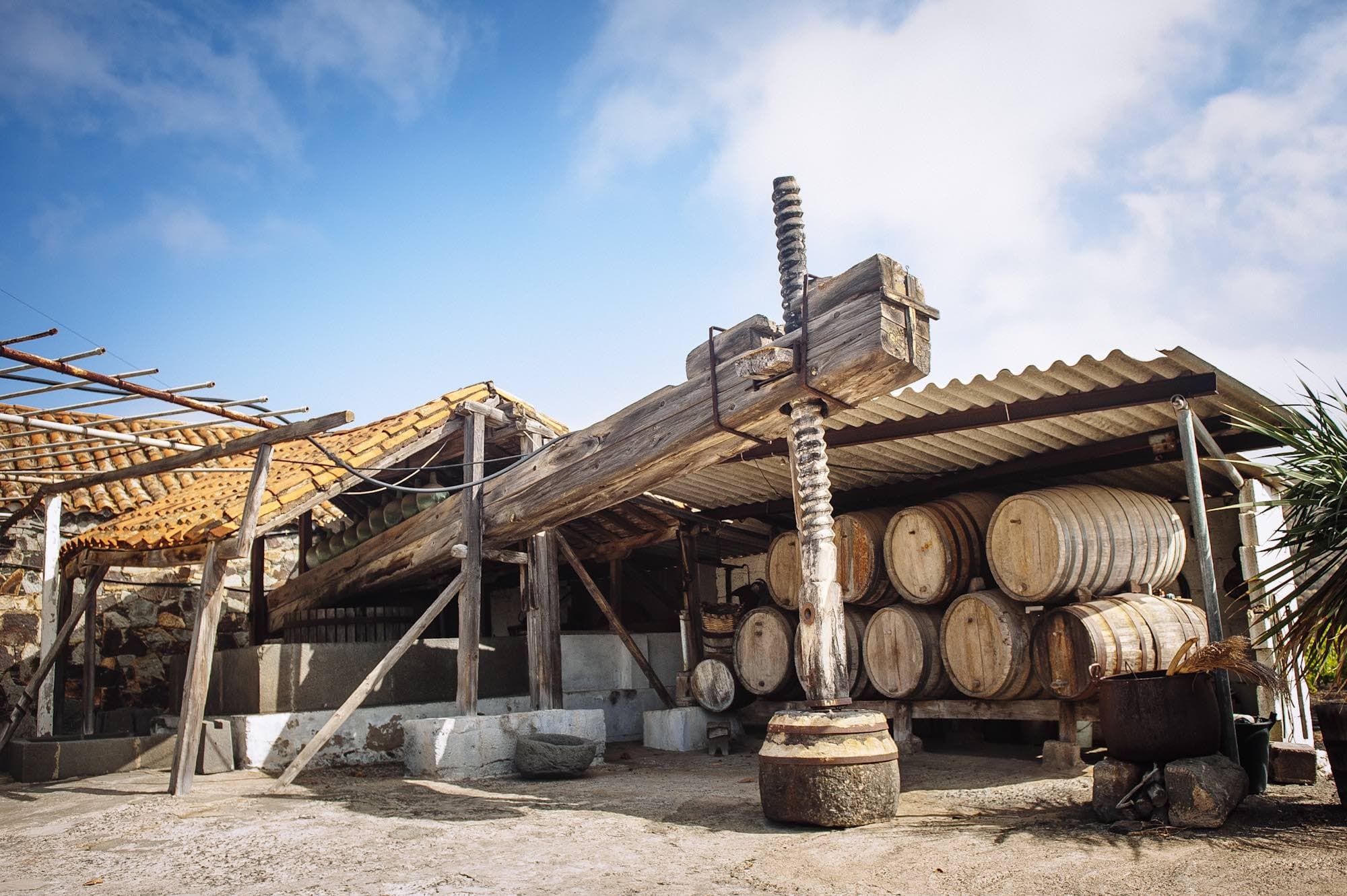 Volcano Wine Tasting Tour
