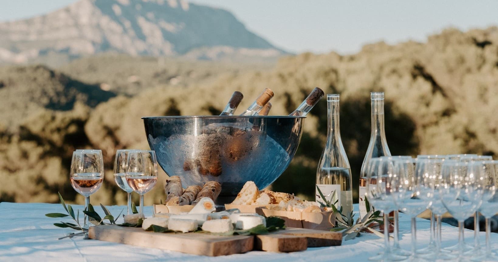 Provence Wine & Goat Cheese Discovery