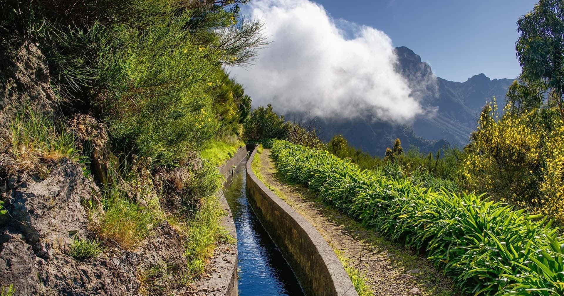 Levada do Norte
