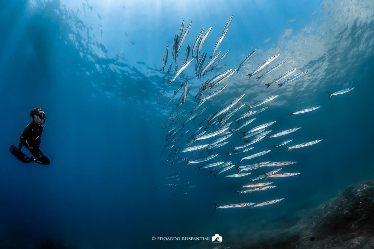 Snorkeling Pomeriggio (2.5 ore)