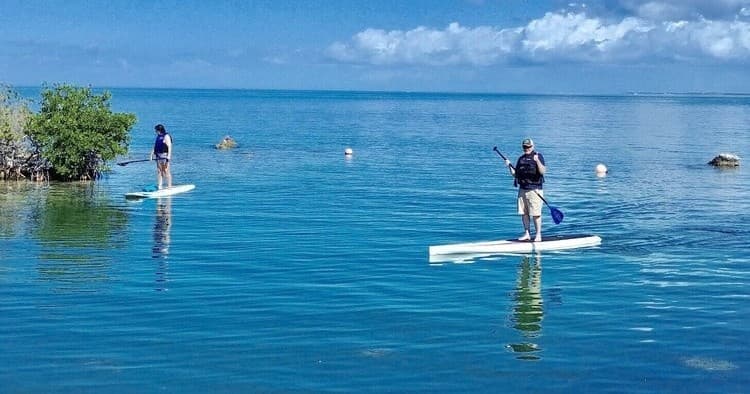 Conch Key Stand Up Paddleboard Rentals