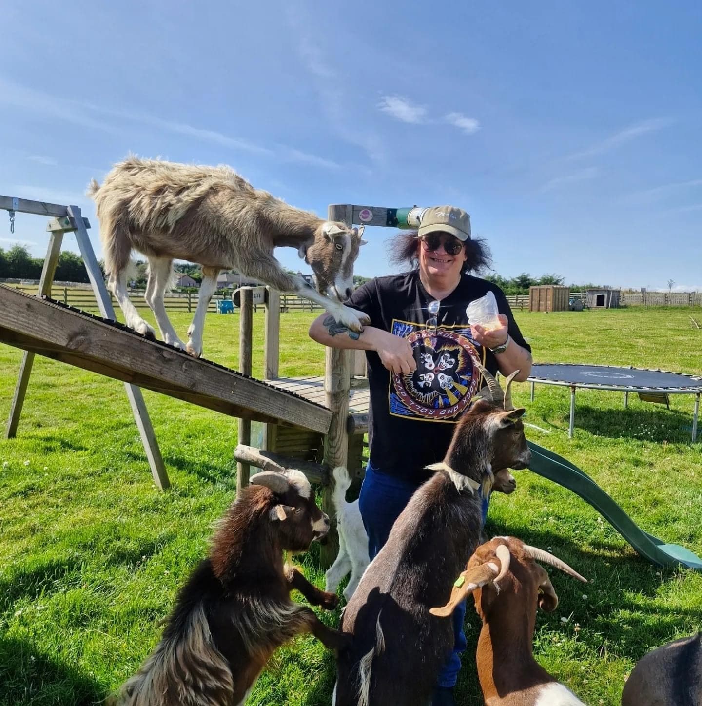 Goat Picnic
