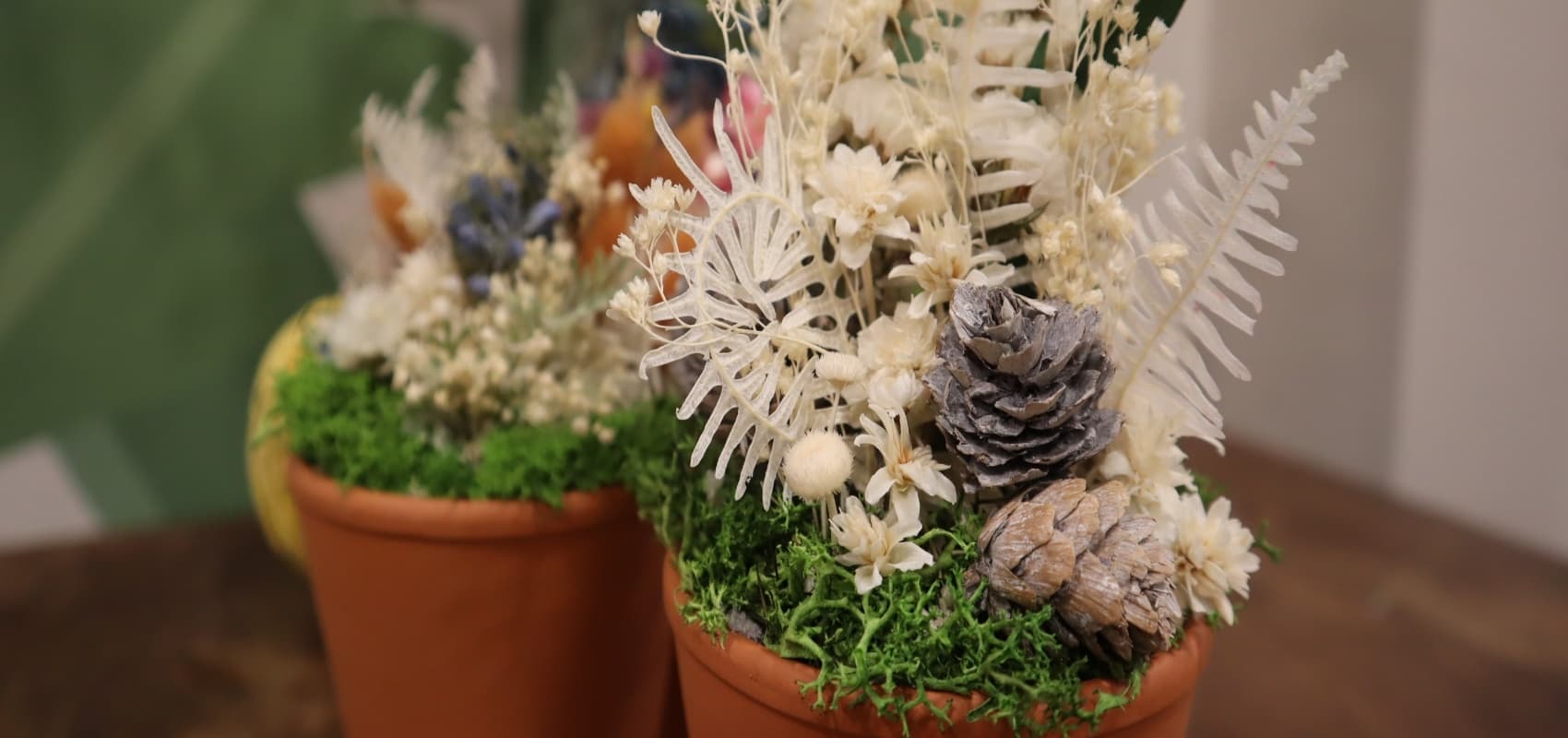 Terracotta Garden Crafternoon @ Nottingham City Centre