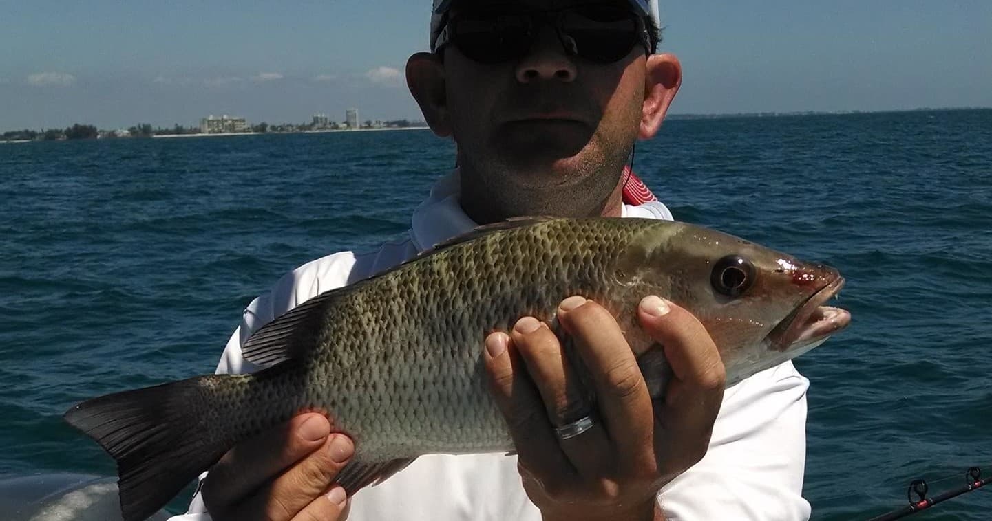 4 Hour Inshore Fishing Charter