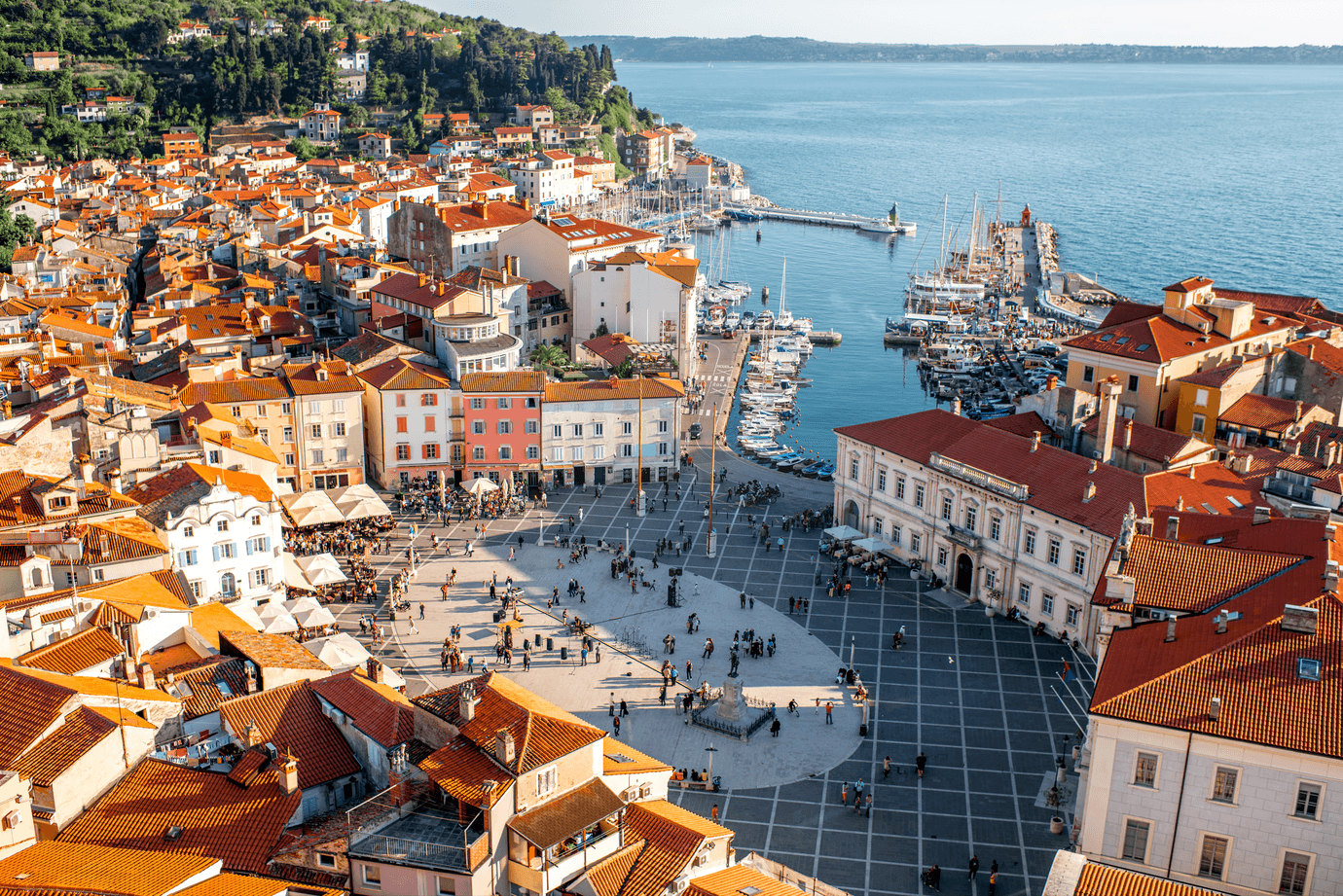 Lipica stud farm and the City Of Piran
