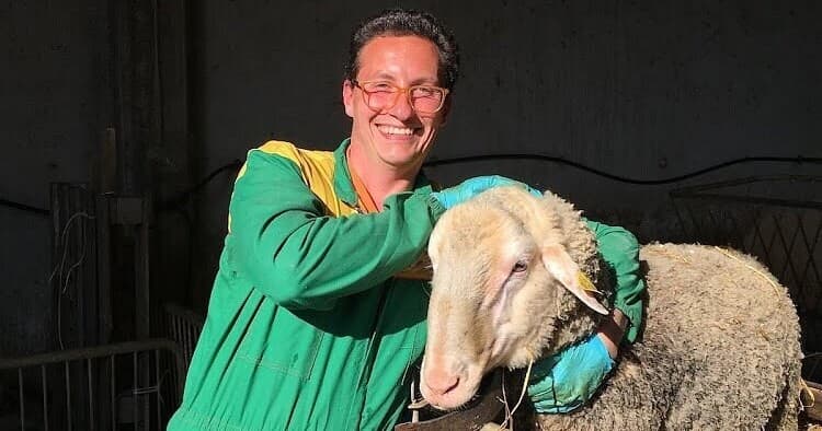 Pecorino & Sheep Farm Experience