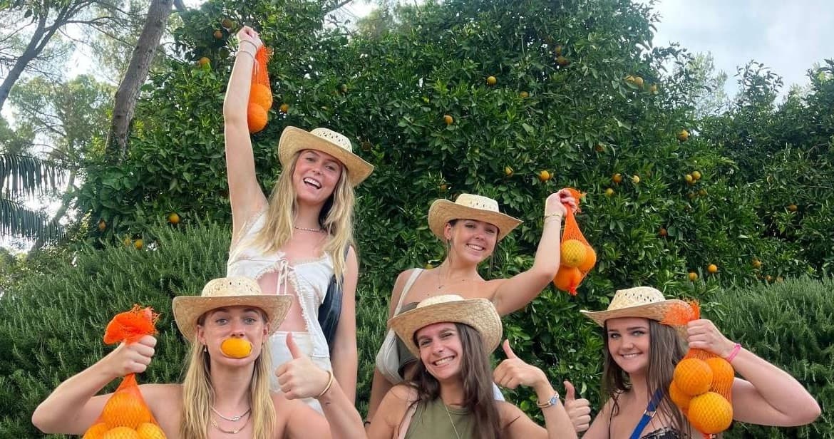 Valencia Orange Farm Experience