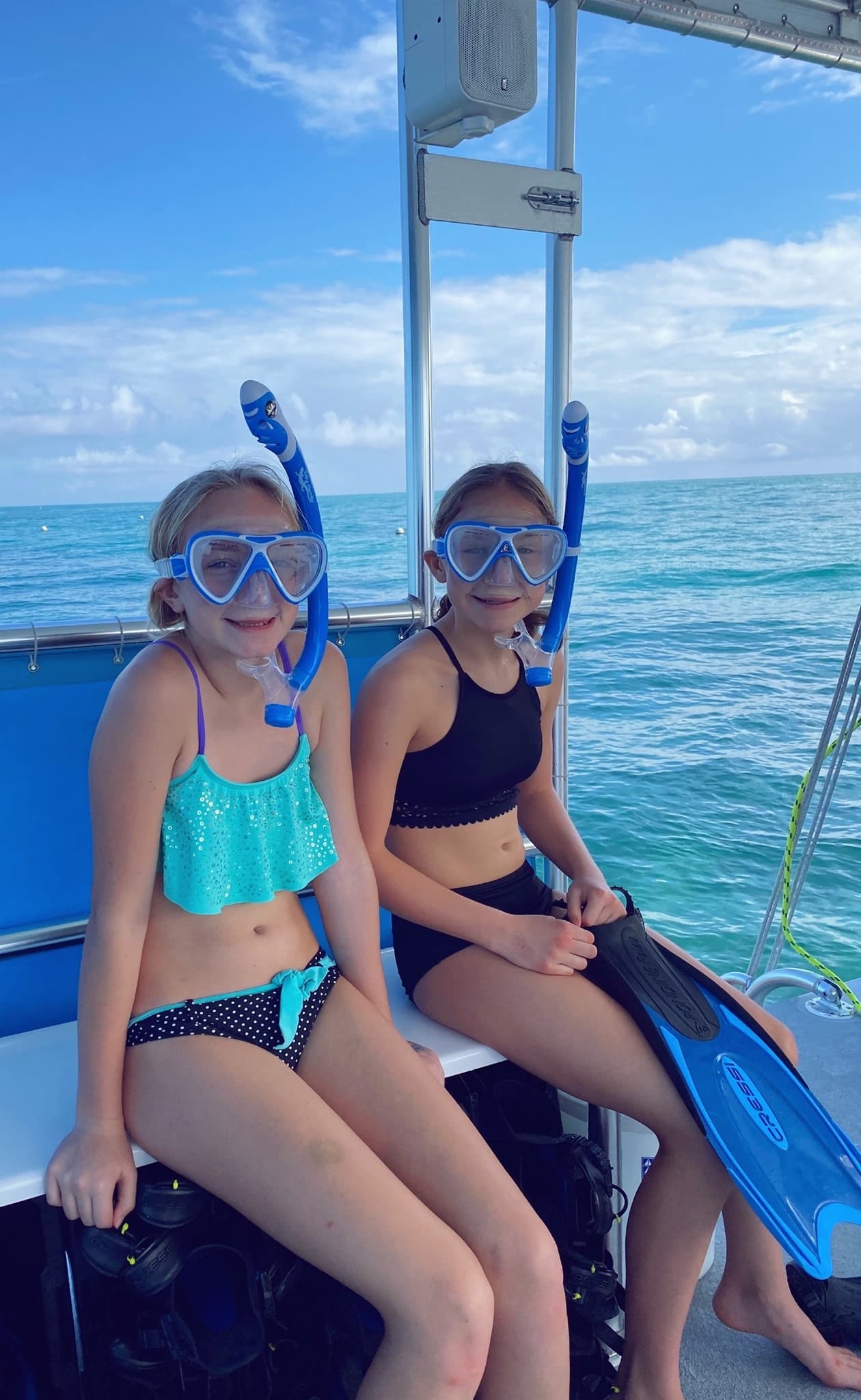 Barrier Reef Snorkel & Sandbar Swim - Tarpon Creek