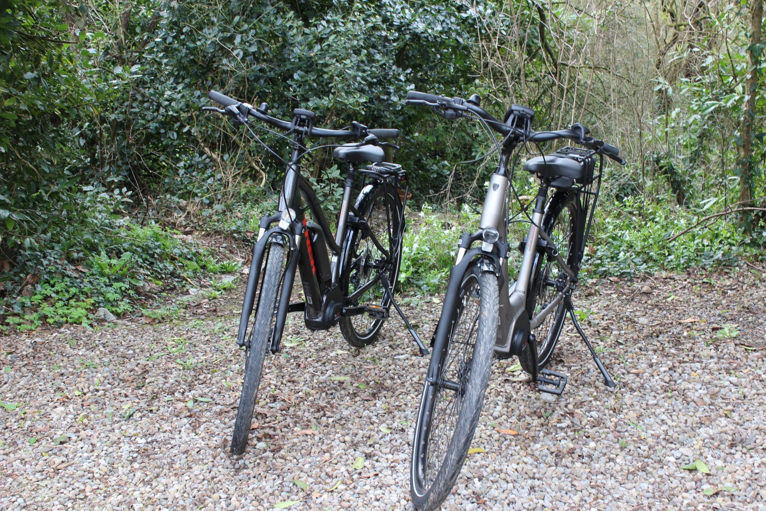 Full Day eBike Rental (8 hours)