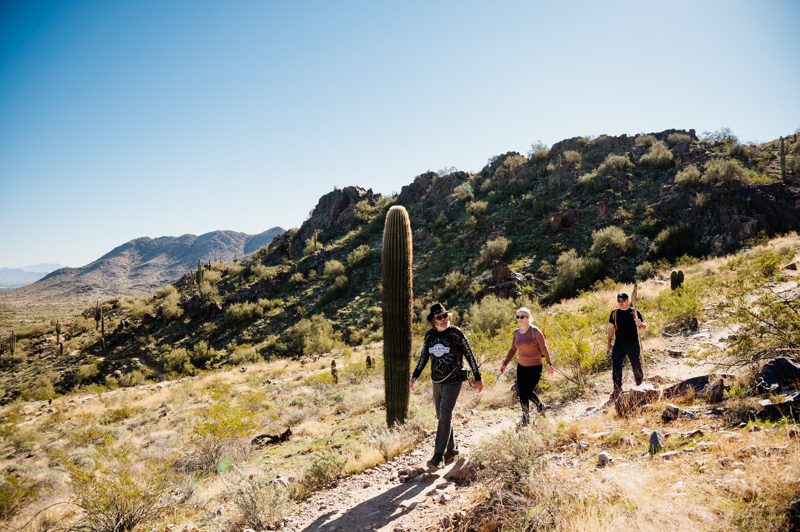Private Group Half Day Hiking Tour Sonoran Desert