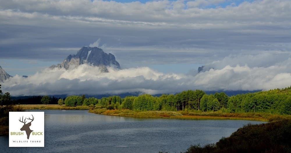 Public: Grand Teton & Yellowstone 2 Day / 1 Night Wildlife Tour