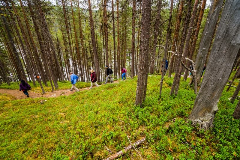 Lemmenjoki River Excursion and Sami Museum Visit