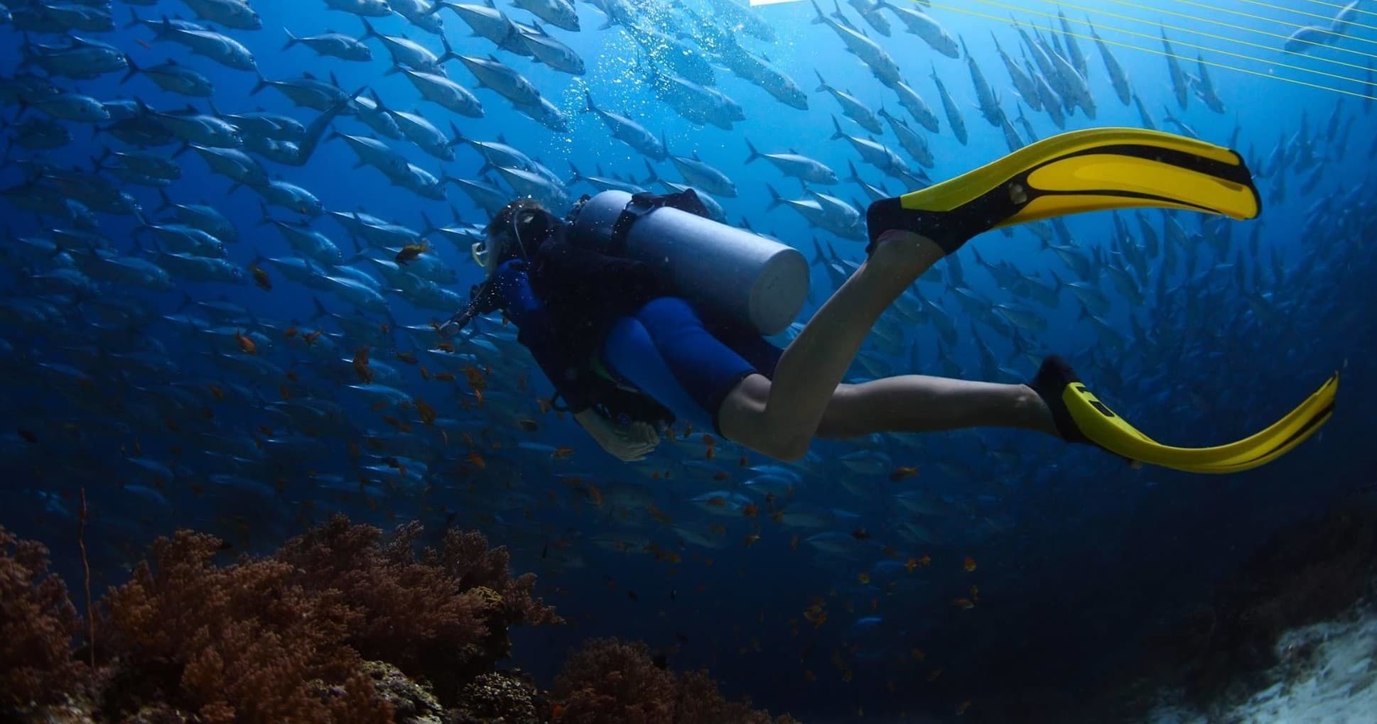 Dive Trip