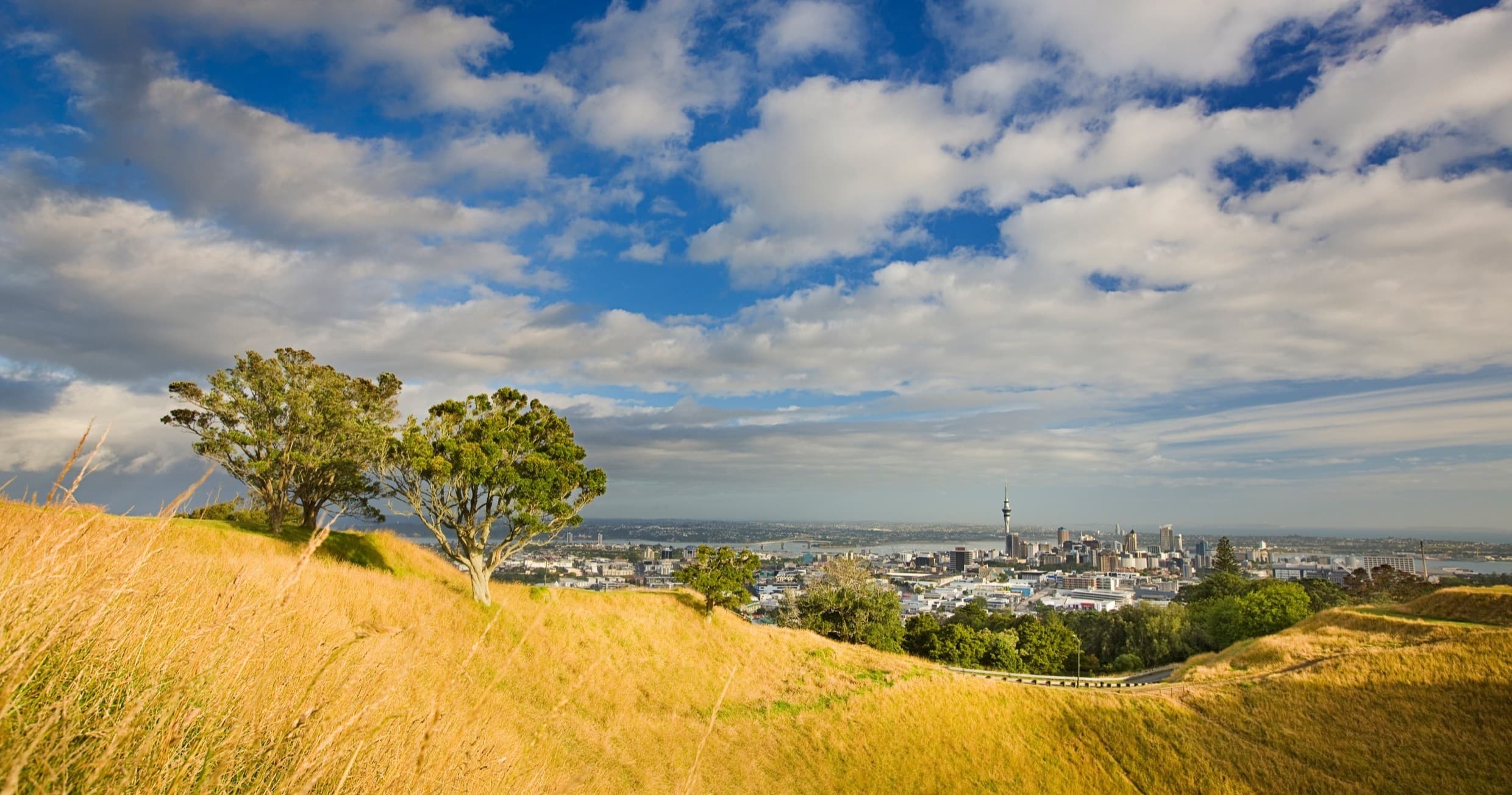 Rotorua to Auckland via Waitomo Caves One-Way Private Tour