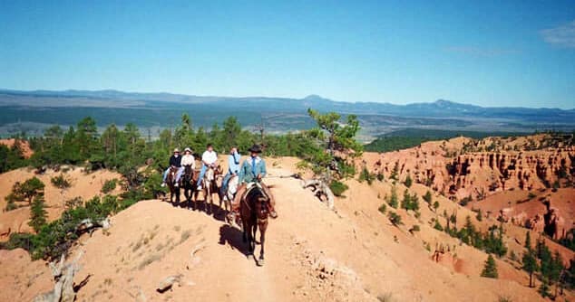 Half Day Horseback Adventure