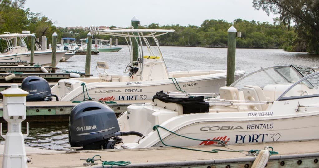 220 Cobia Center Console