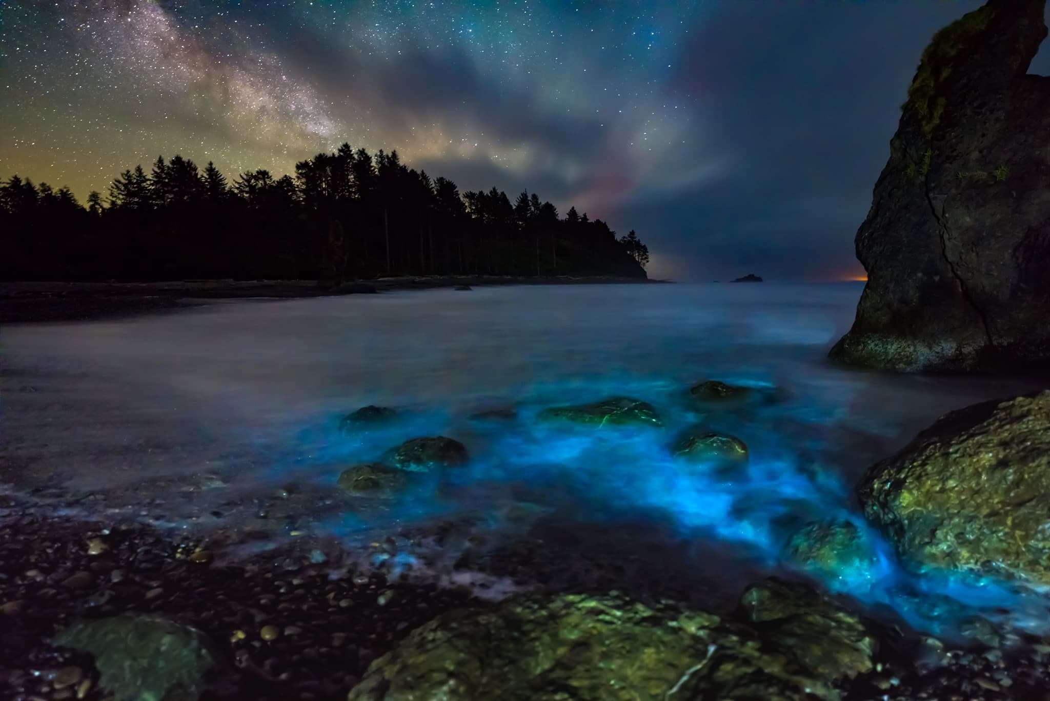 Bioluminescence in the Salish Sea Lecture