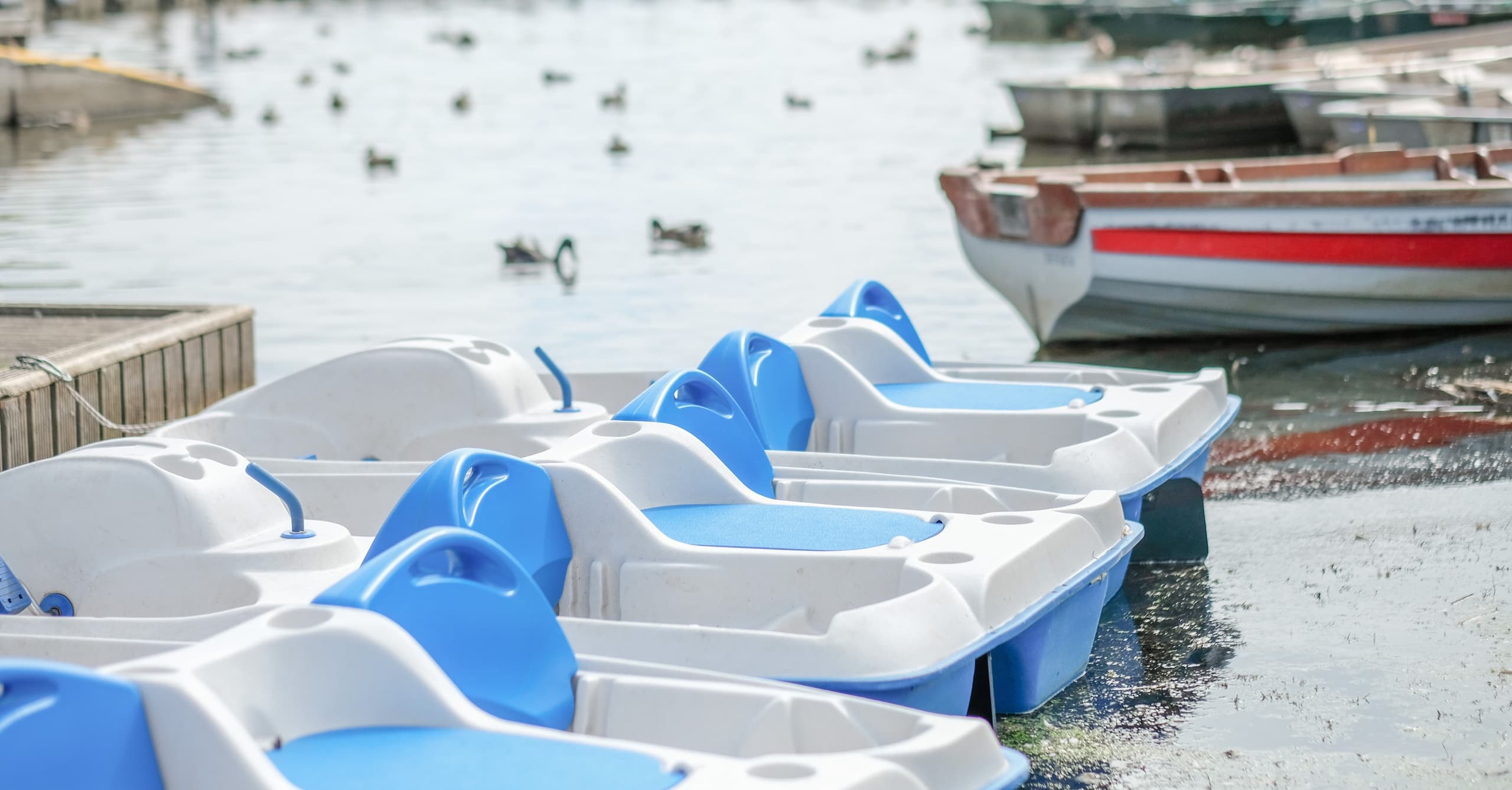 Pedalo Hire