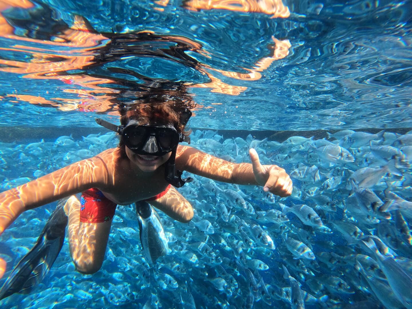 Delights of Aquaculture - Marine Biology Experience