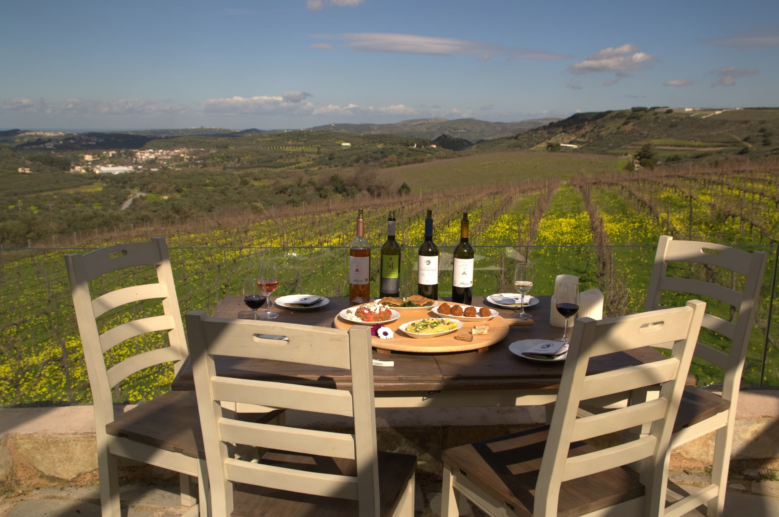 Food and Wine Pairing