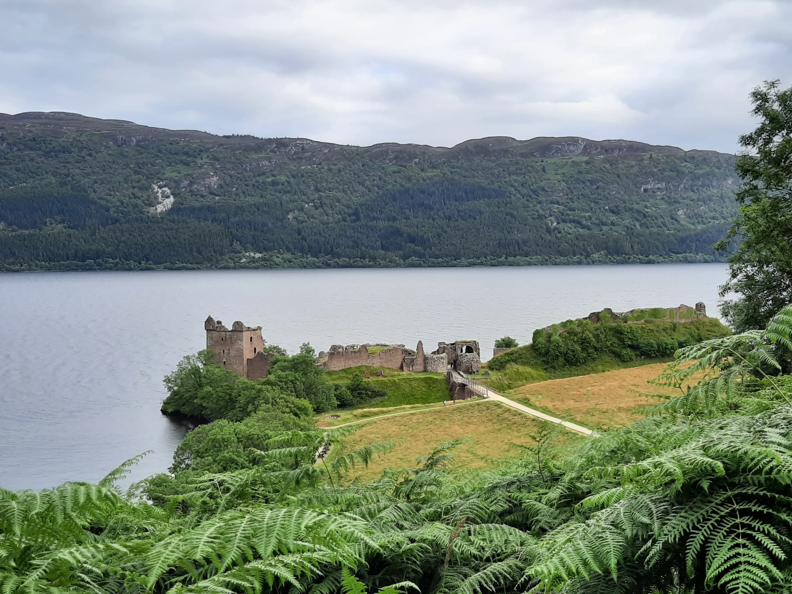 Half Day Tour in Inverness area