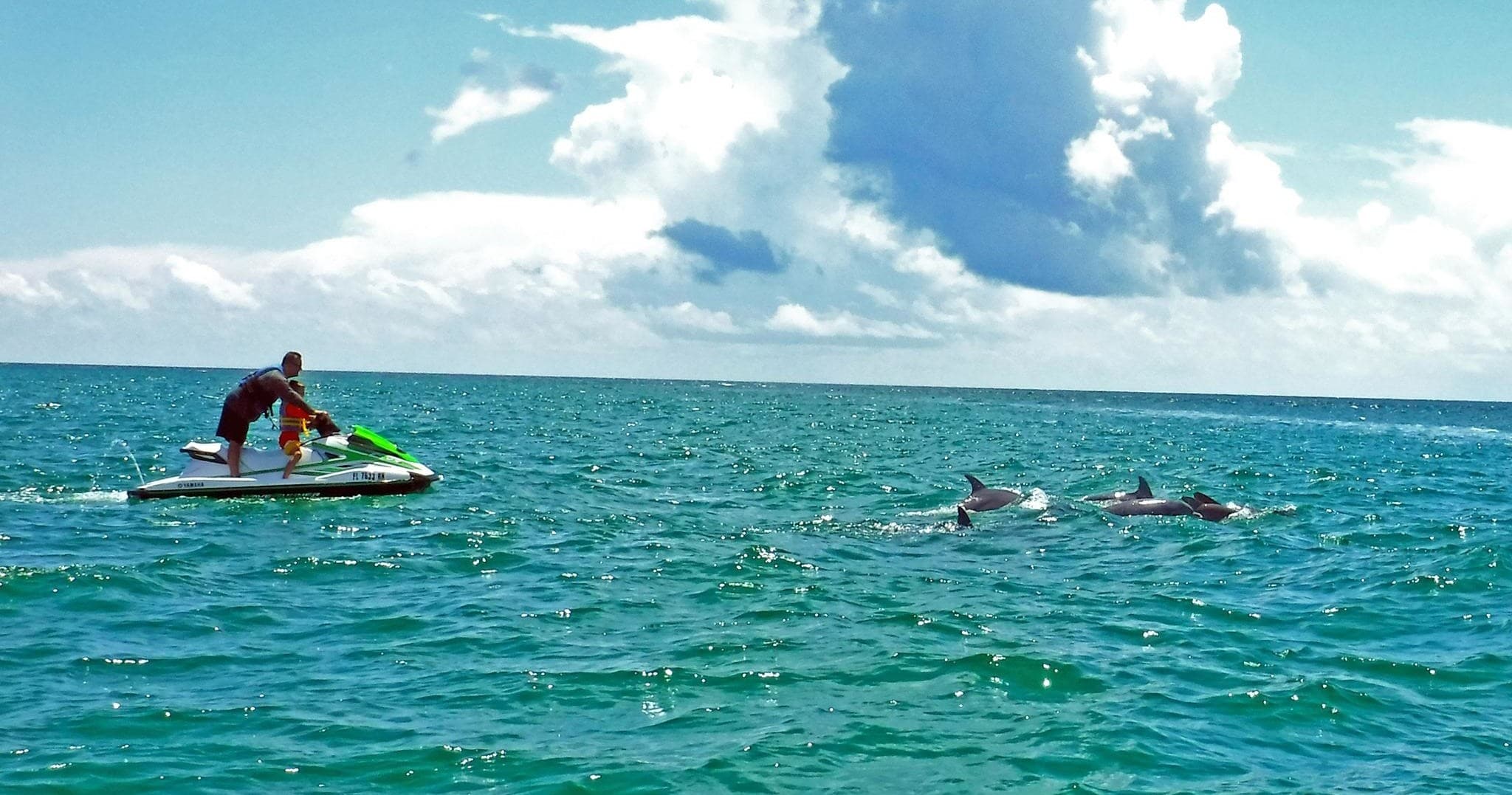 Jetski Dolphin Tour