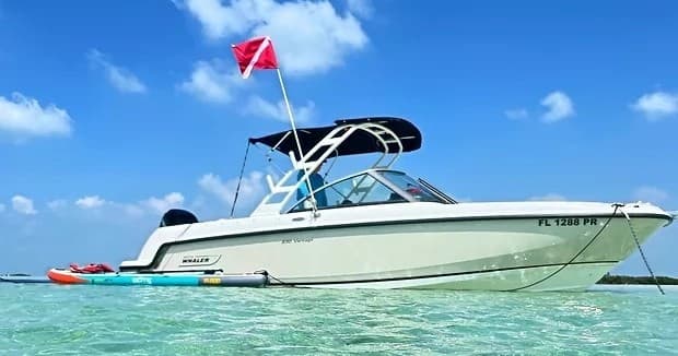 Half Day Charter 4hrs Boston Whaler