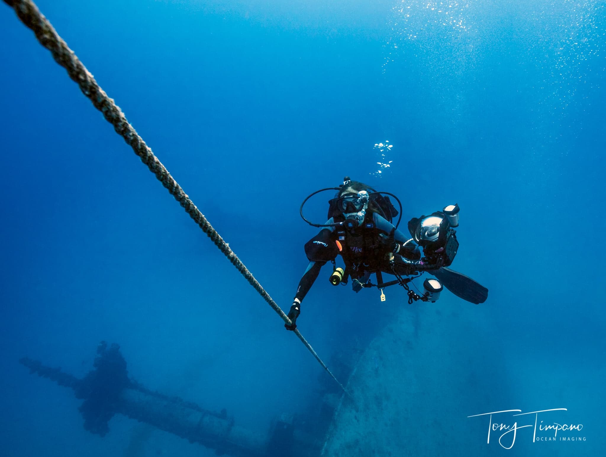 Morning Scuba and Snorkel trips