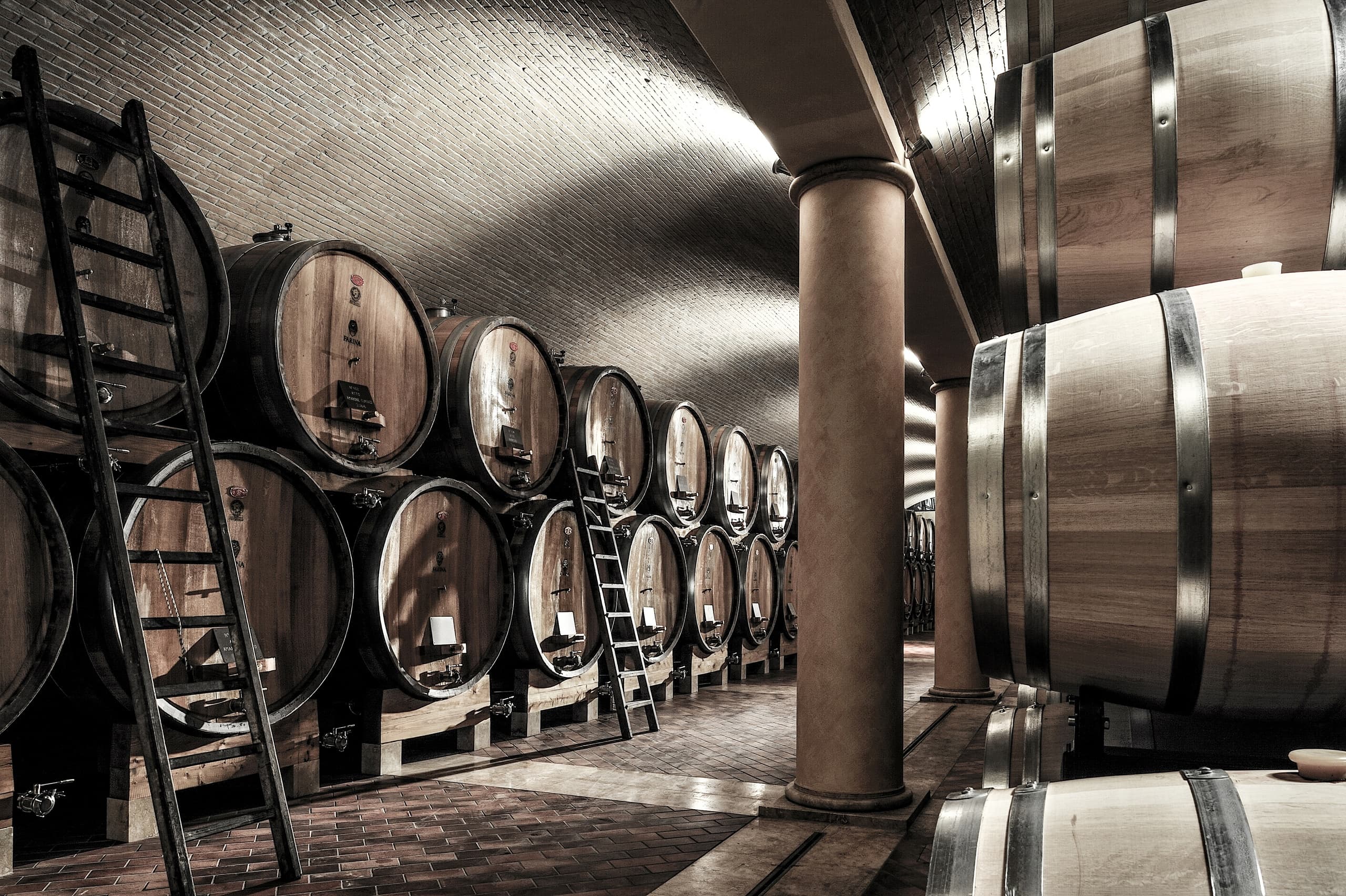 Valpolicella: Visita guidata e degustazione con pranzo in cantina