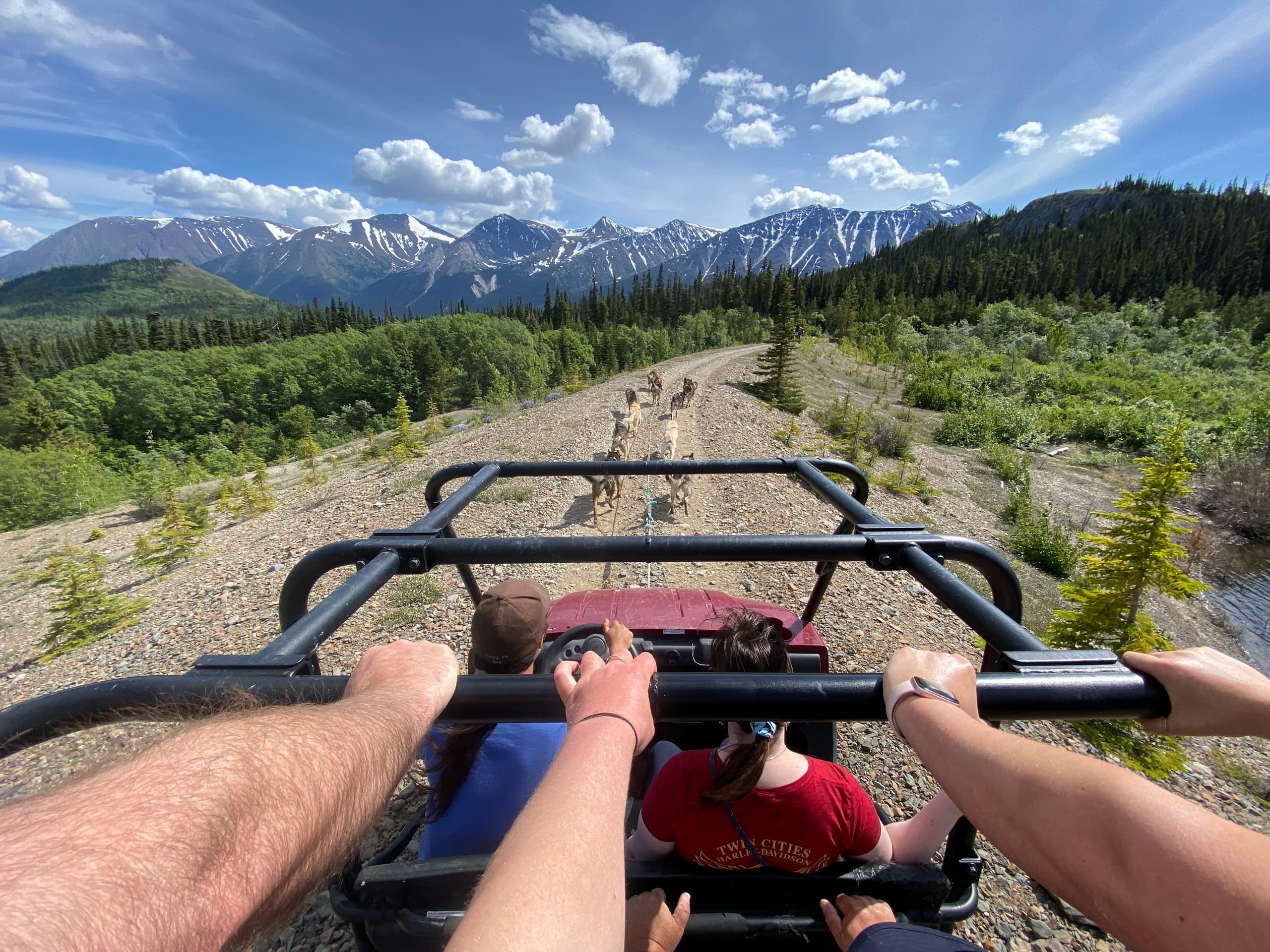 Step into the Yukon and Sled Dog Tour