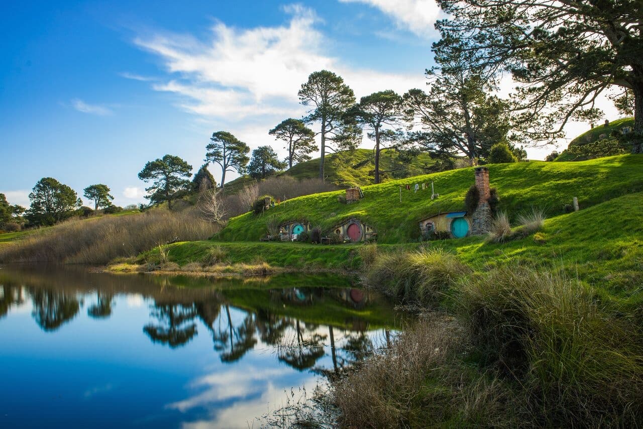 One Way Auckland to Rotorua including Hobbiton