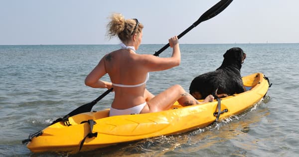 Kayak Rental