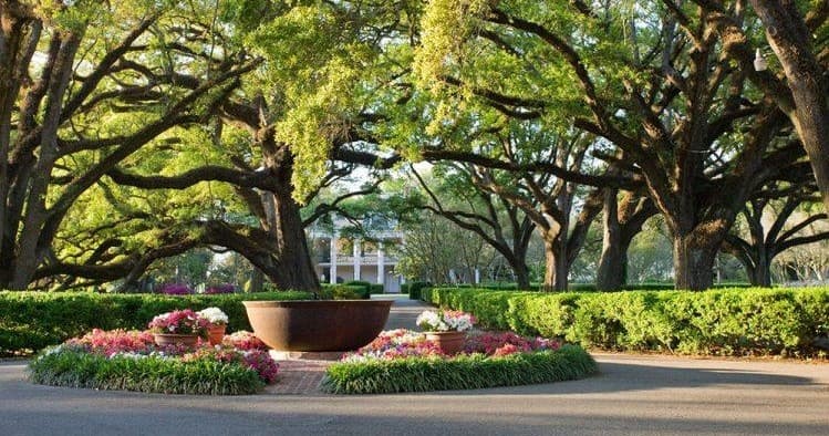Oak Alley Antebellum Plantation
