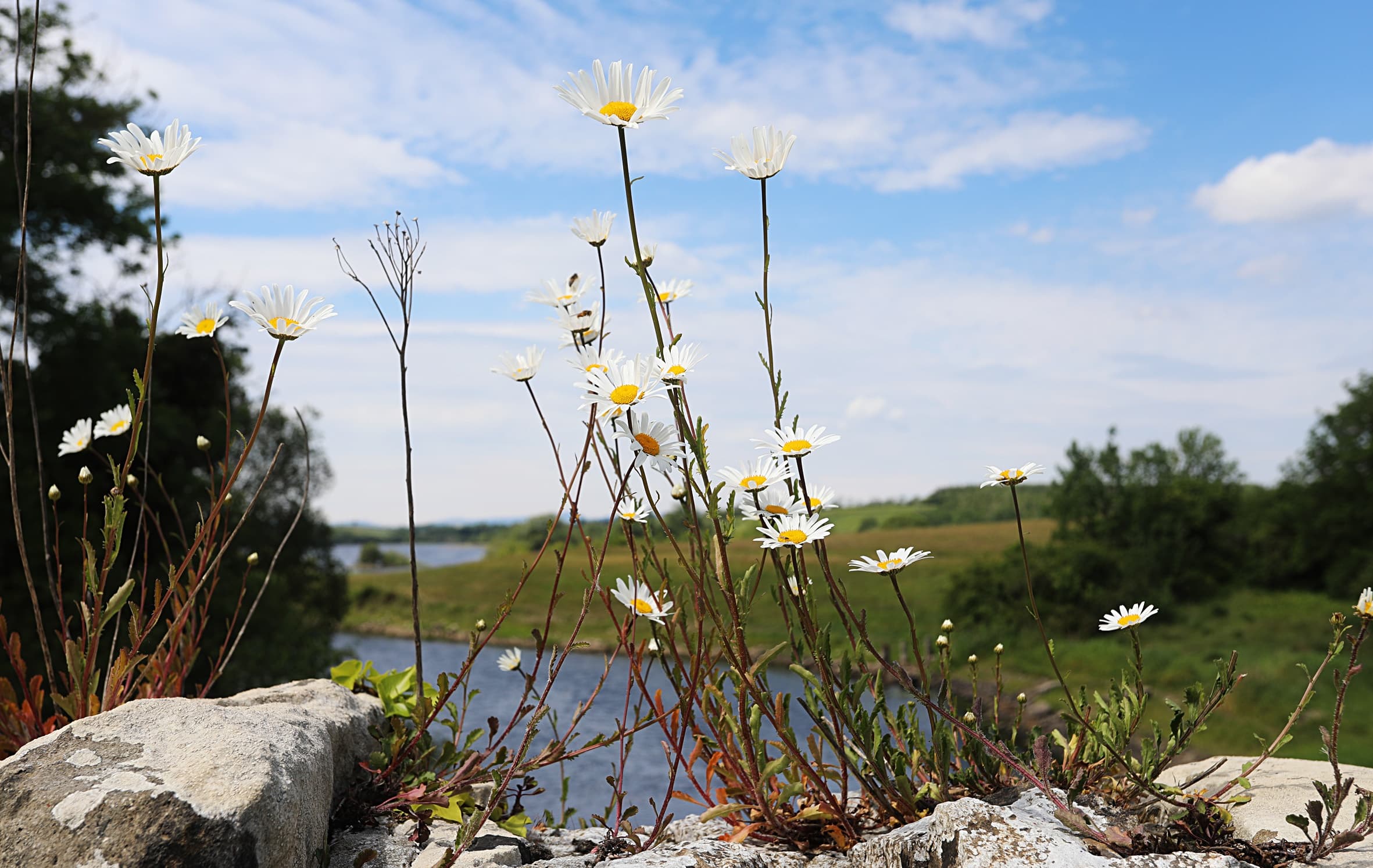 Lakeside Wellbeing Adventure Retreat